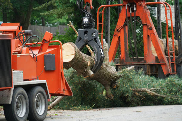 Best Emergency Tree Service  in Howards Grove, WI